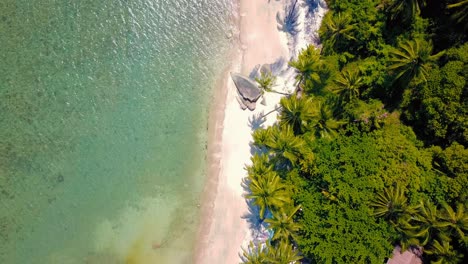 Tropical-sand-beach-with-palm-trees-in-sunset,-sunrise,-aerial-dolly-shot-flying-through-the-trunks,-wild-pristine-beach-in-Hawaii