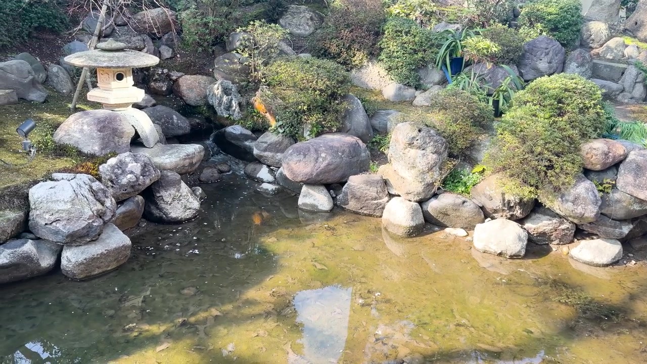 Una lenta panoramica rivela un sereno giardino giapponese con rocce, muschio e acqua.