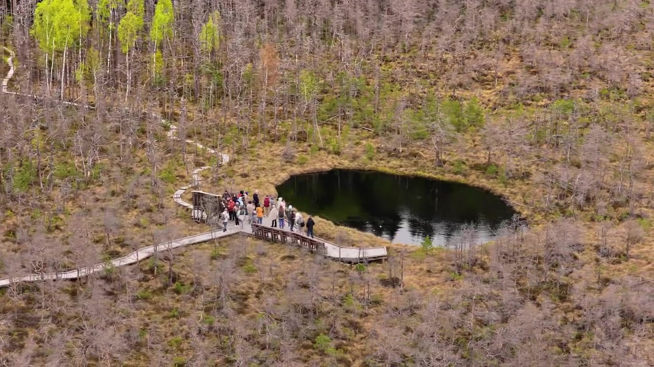 Vista aerea dall'alto di uno stagno circolare di torbiera con una piattaforma di osservazione e visitatori, Tinovul Mohos, Harghita, Romania