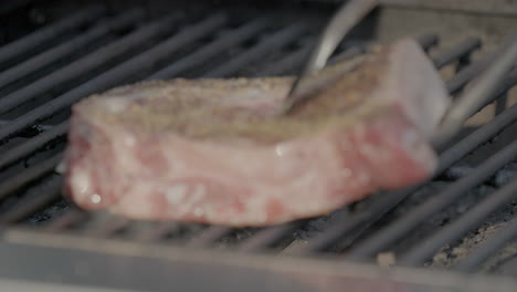 Closeup-of-fresh-cut-steaks-being-placed-on-an-outdoor-gas-grill-in-summer-in-slow-motion