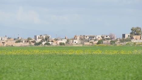 view through the side window of a moving car driving by rubble and ruins in europe, against a rural green nature background