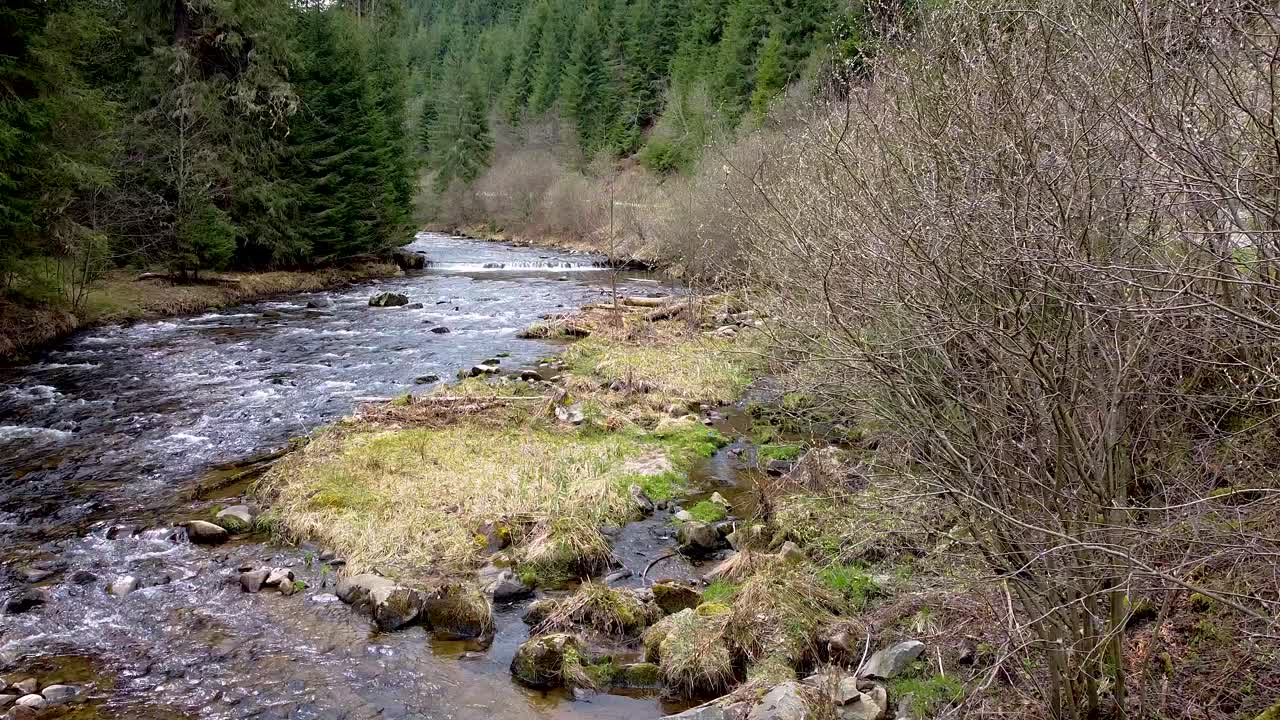 view of the Somes river in Apuseni Mountains