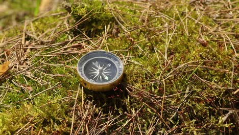 traveller compass on the grass in the forest