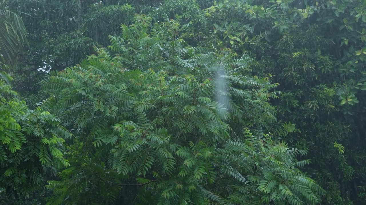 南西モンスーンによる西ベンガル州の豪雨