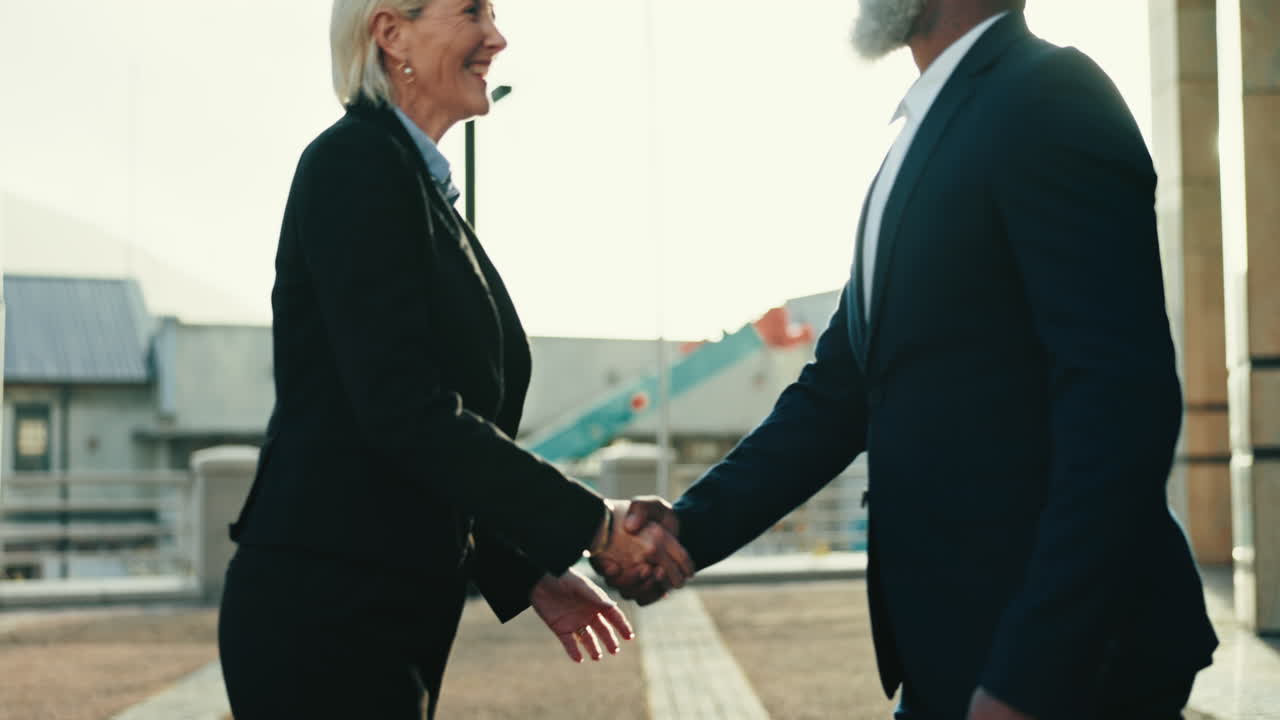 Business, partner and handshake for success