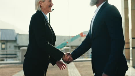 business, partner and handshake for success