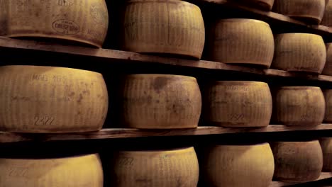 shelfs full of ripening, parmesan cheese, producers manufature