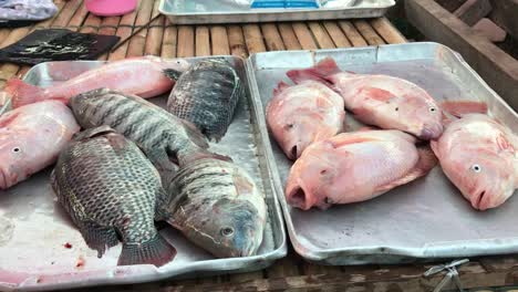 Toma-De-Mano-De-Pargo-Rojo-Y-Blanco-De-Vida-Fresca-En-El-Puesto-Del-Mercado-Local-Exhibición-De-Bambú