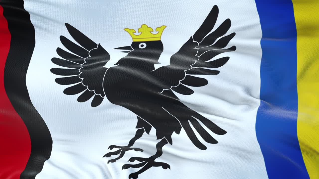 이바노-프랑키프스크 지방 (우크라이나) 의 발이 바람에 흔들리고 있으며 매우 상세한 직물 질감이 있습니다.