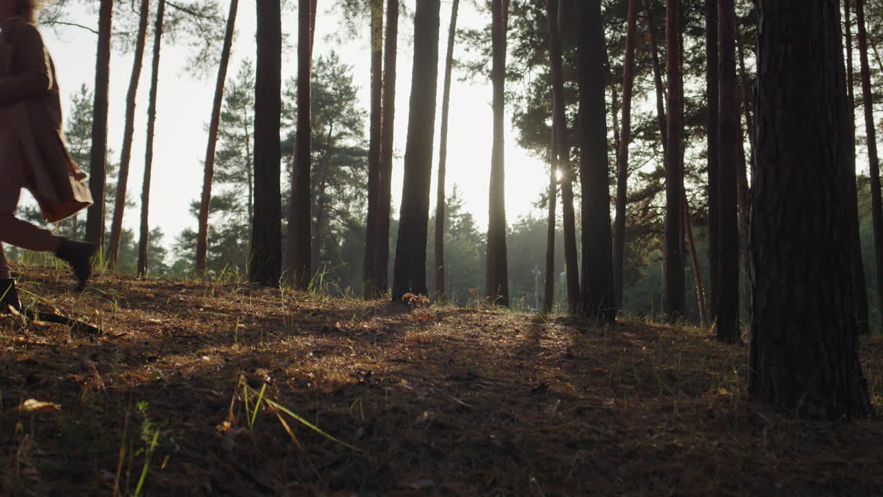 Una donna con un cucciolo di golden retriever corre attraverso la foresta autunnale tra alti pini.