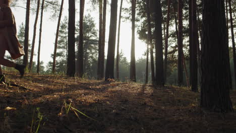 a woman with a golden retriever puppy runs through the autumn forest among tall pines