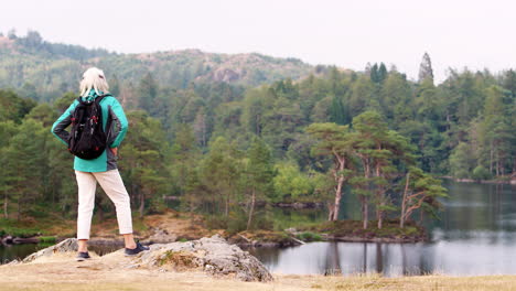 senior caucasian woman walks into the left of shot to admire the lakeside view, back view, lake district, uk