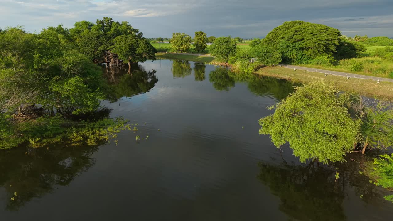 Flooded Rural Landscape with Trees and Water Reflections