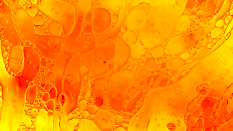 colorful oil drops floating on water surface, top view. fantastic abstract background. bright bubbles moving and spreading. close up 4k video of weird liquid structures. scientific chemical experiment
