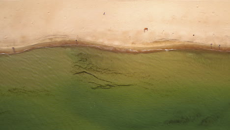 Aerial-view-of-sandy-beach-meeting-clear-green-waters,-people-scattered