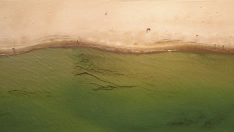 Vista-Aérea-De-La-Playa-De-Arena-Que-Se-Encuentra-Con-Aguas-Verdes-Y-Cristalinas,-Gente-Dispersa