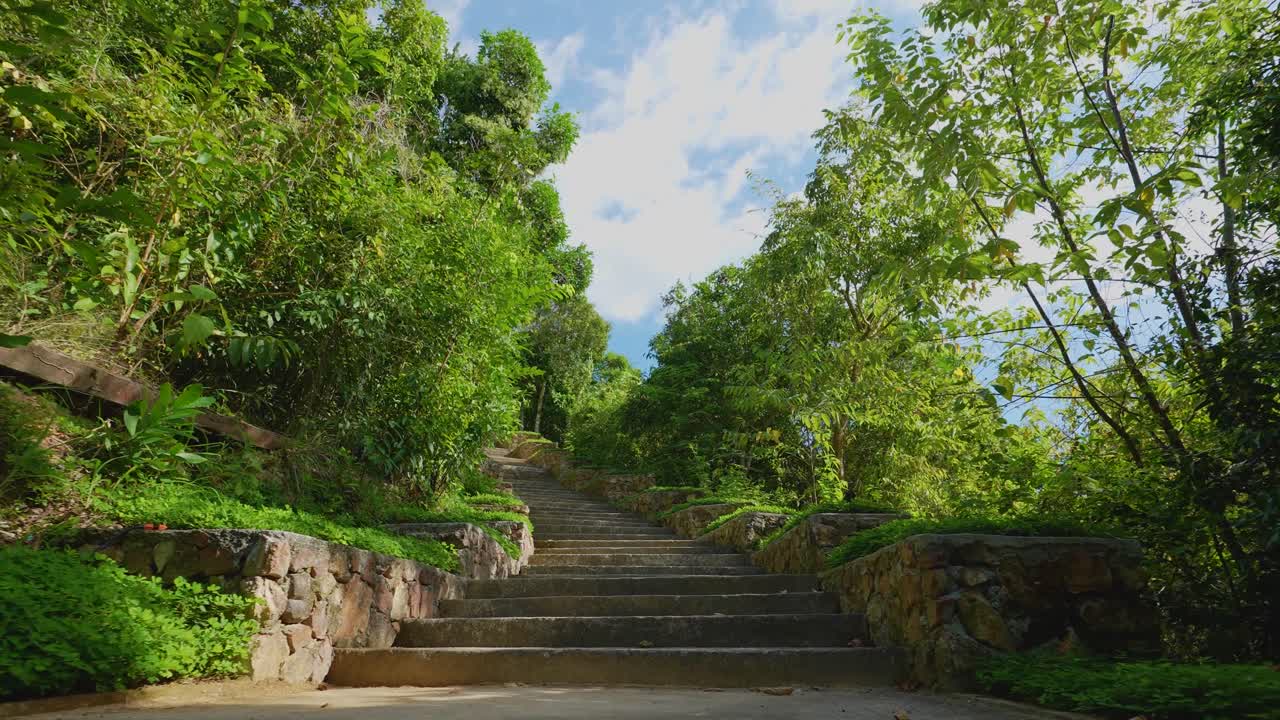숲에서 돌계단을 걸어 올라가는 낮은 각도 슬로우 모션 짐벌 푸시인 4k
