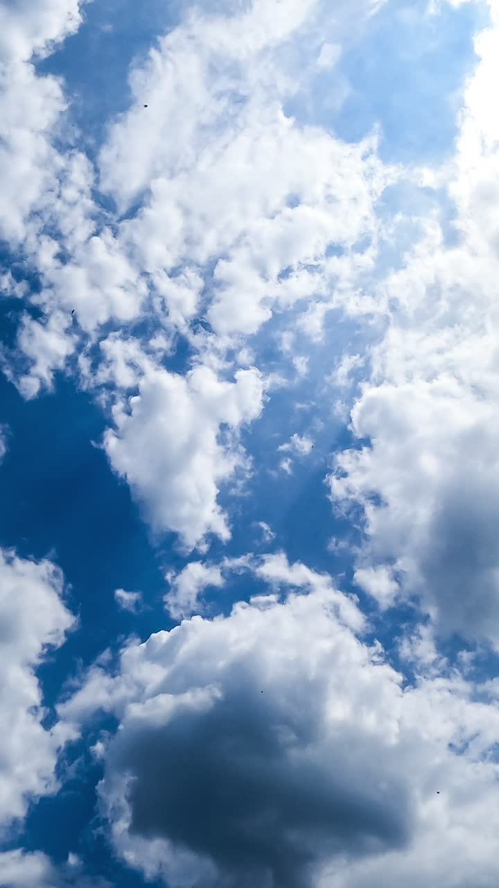 Lovely clouds gathering in the sky. Cloudscape transformation on summer sunny day in blue skies. Timelapse. Vertical video