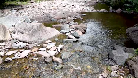 river bed water from falls washing over rocky pebble stream through woodlands