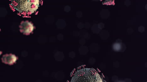 muchos virus sars-cov-2 covid-19 flotando suavemente bajo el microscopio - animación 3d 4k