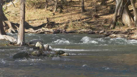 Una-Foto-Del-Río-Guadalupe-En-Una-Lente-Larga