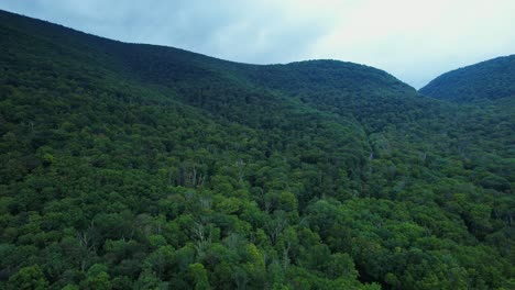 Atemberaubende-Drohnenaufnahmen-Im-Frühling-Tief-In-Den-Appalachen