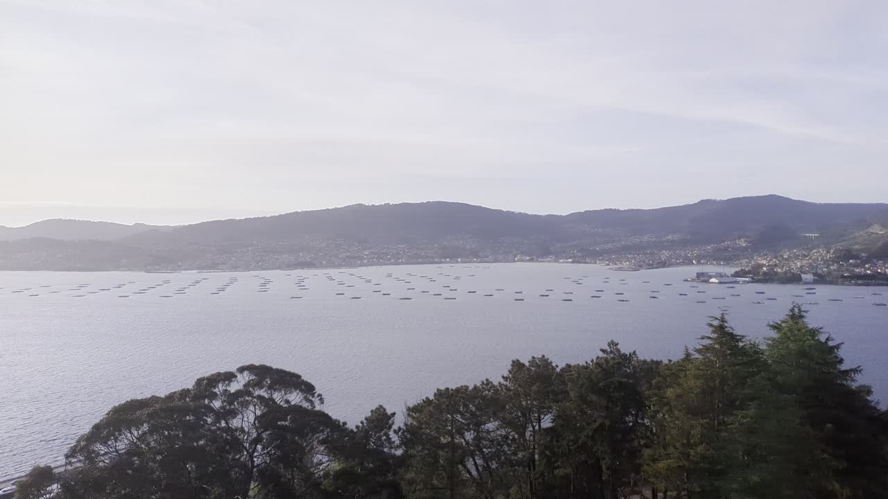 An elevated, wide panning right shot of the Ría de Vigo estuary in Galicia, Spain, at dusk. The iconic Rande Bridge spans the water, mussel farm bateas (rafts) dot the bay below the coastal hills.