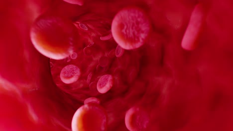 Red-blood-cells-in-artery