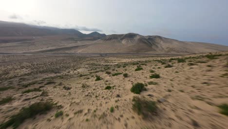 fuerteventura-fpv-desert-mountain-dive-with-green-bushes-blue-sky-evening-hours-slowmotion-50fps