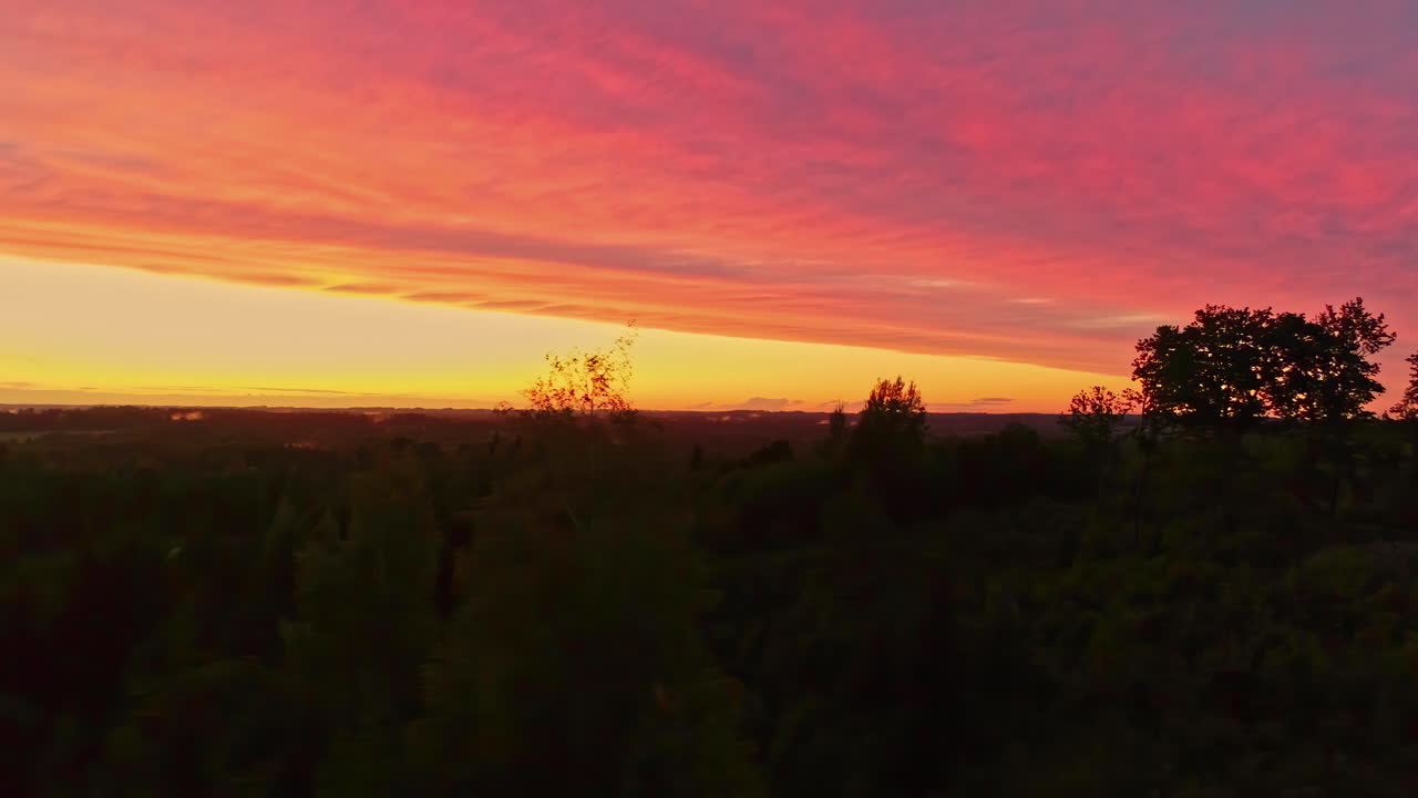 toma panorámica aérea del cielo dorado durante la hora dorada sobre el bosque