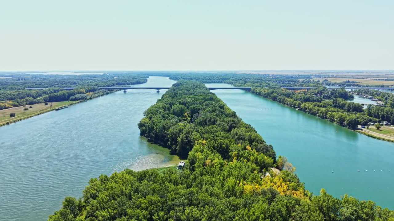 Vista di un fiume che serpeggia tra alberi verdi in una giornata di sole in un paesaggio naturale