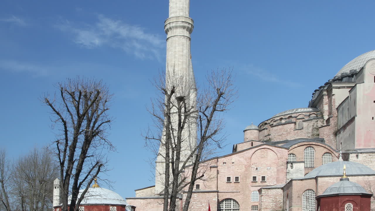 모스케 팬 선샤인 2