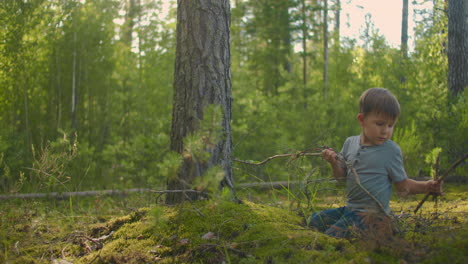 boy in the forest collects firewood. collecting dry firewoods in summer forest at camping. brushwood for camp fire in summer hike.