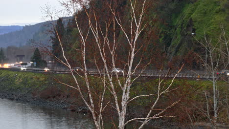 Straßenverkehr-Mit-An-Einem-Bewölkten-Tag-Auf-Dem-Land,-Ein-Weißer-Baum-Im-Vordergrund,-Naturkonzept-Und-Menschlicher-Transport