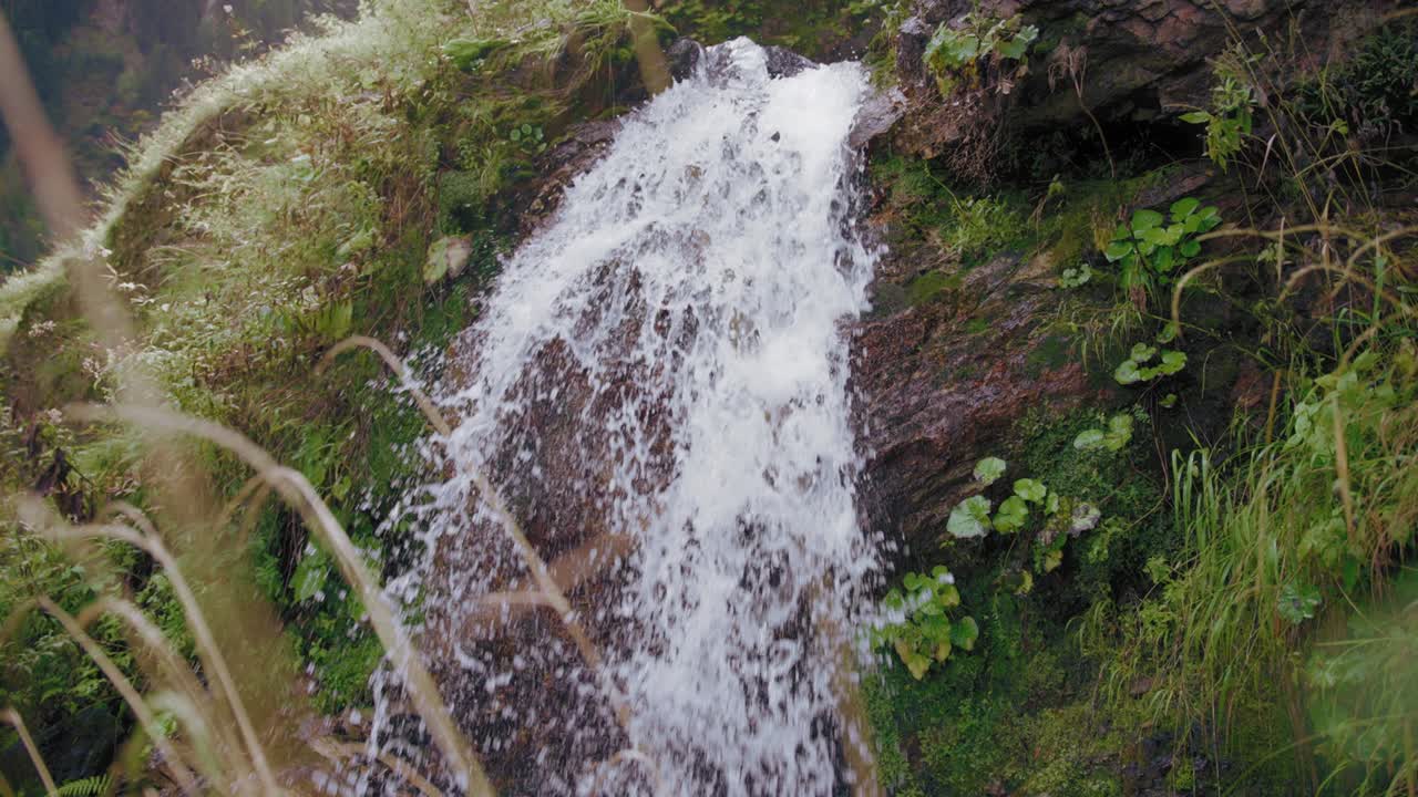dolly disparó una pequeña cascada.