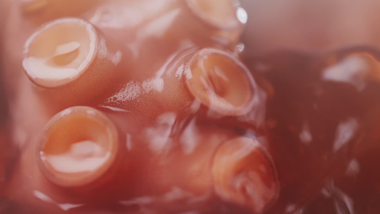 Octopus cooking, chef Boiling fresh octopus on restaurant kitchen, healthy food, seafood cafe in spain, traditional asian japanese spanish and mediterranean dish.