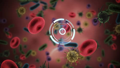 animación de reloj y escáner circular girando sobre células de covid 19 y células sanguíneas, en rosa