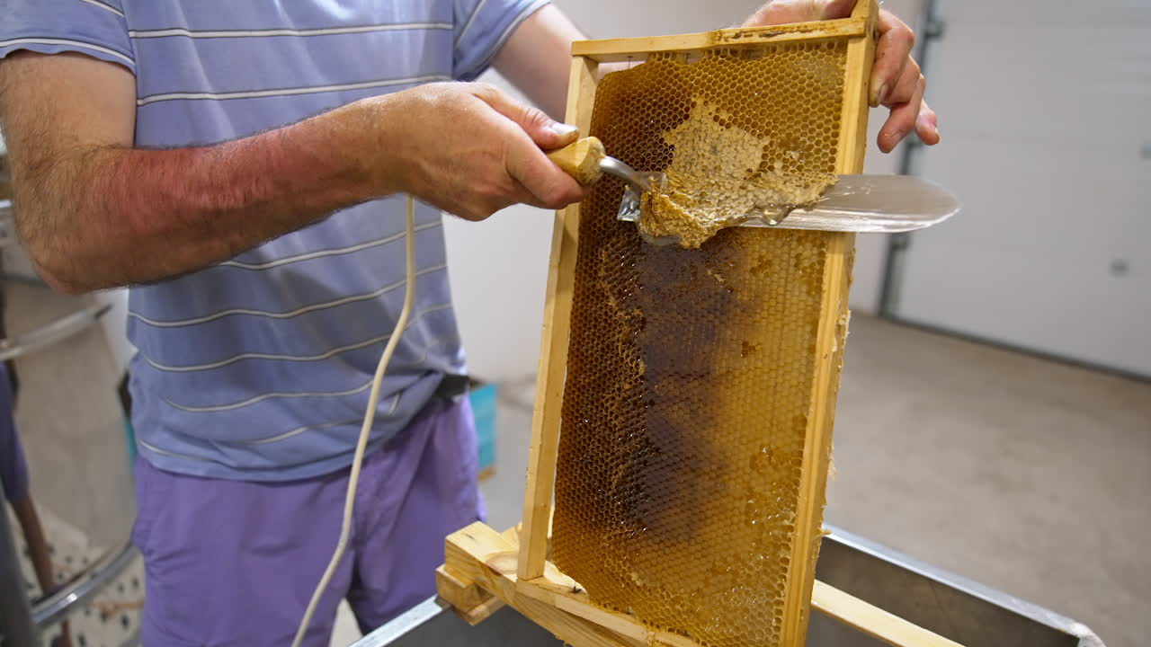 Male hands use electric instrument to uncover sealed honeycombs. Beekeeper prepares the honey frames for extraction sweet harvest.
