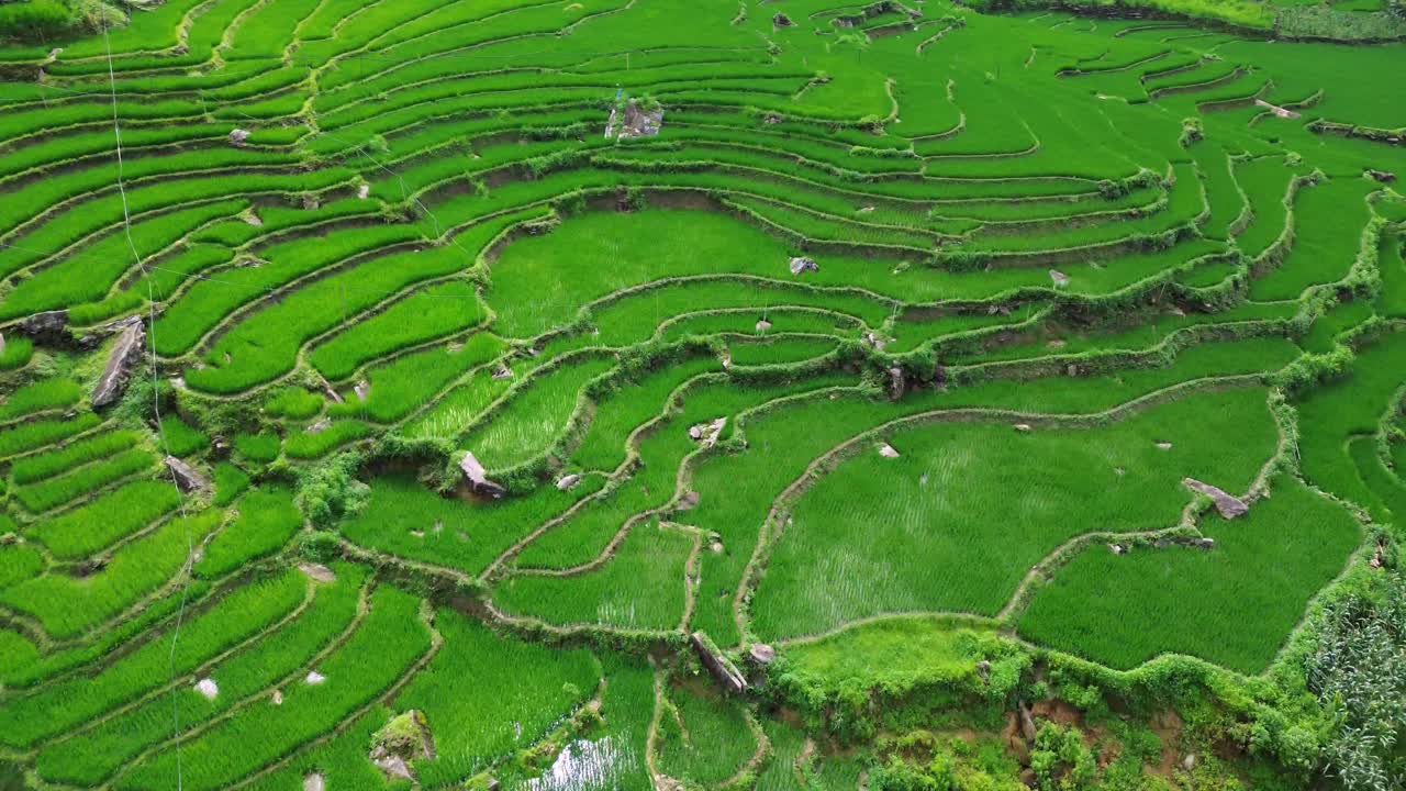 Aerial view of rice terraces and small village in Sapa, Vietnam, showing traditional houses, farmland, and dramatic mountain landscape