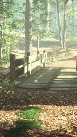 serene forest bridge