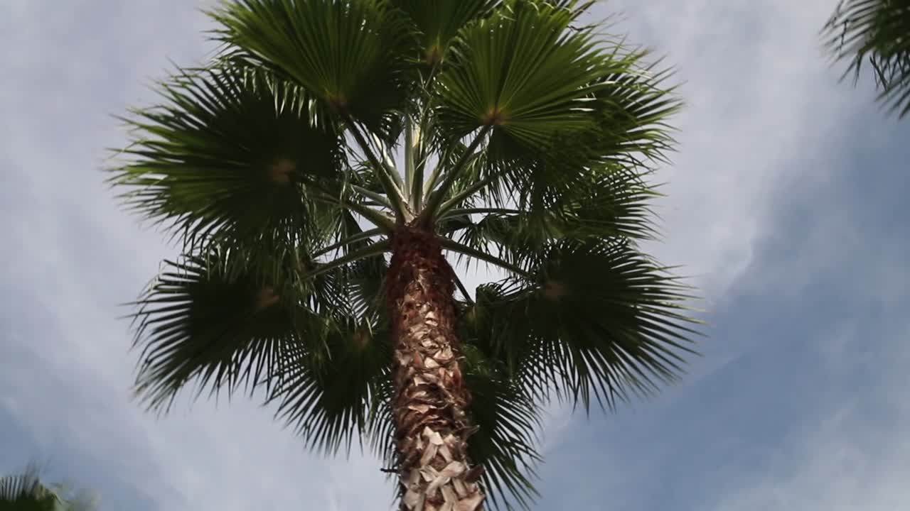 центр города фуллертон калифорния