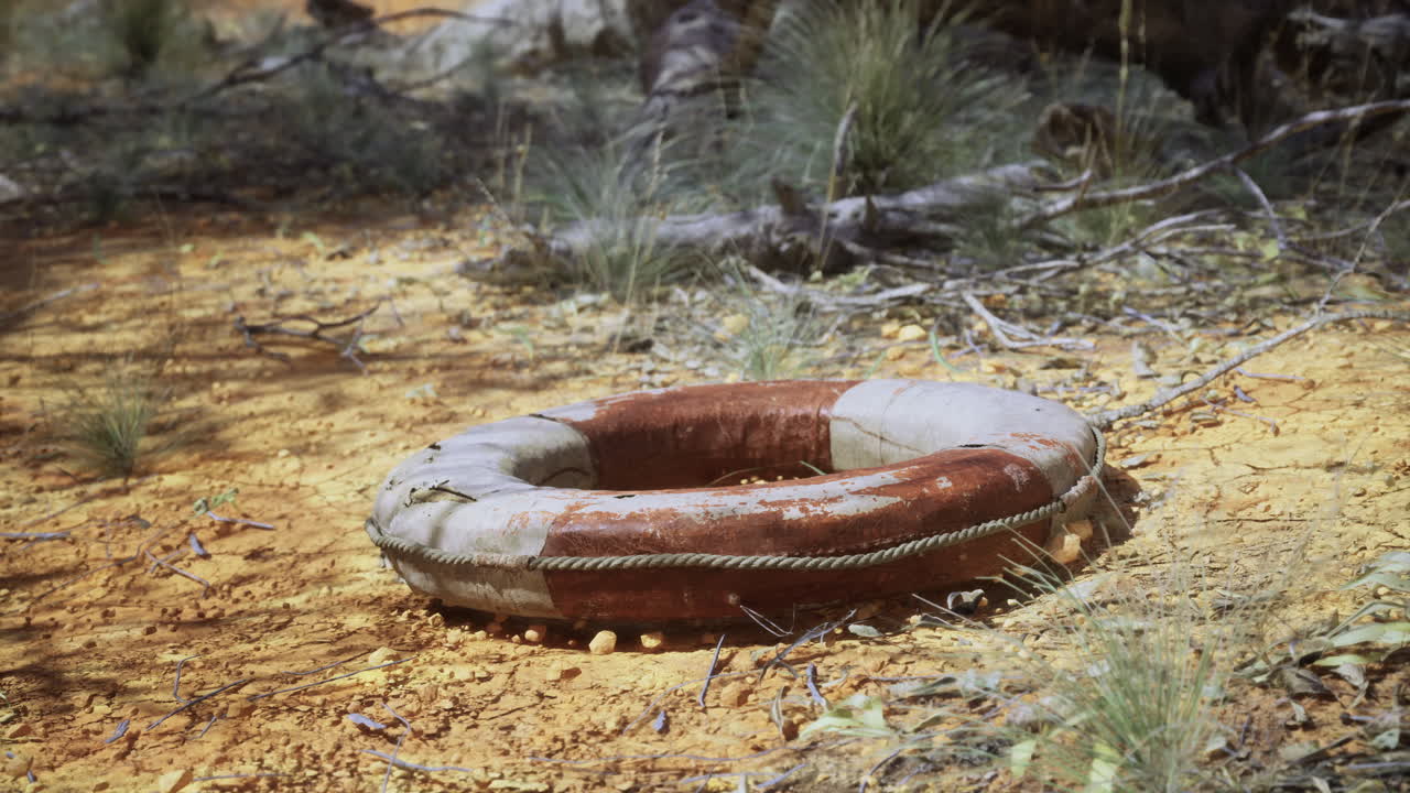 buey salvavidas descansando en suelo seco en un entorno remoto y accidentado al aire libre