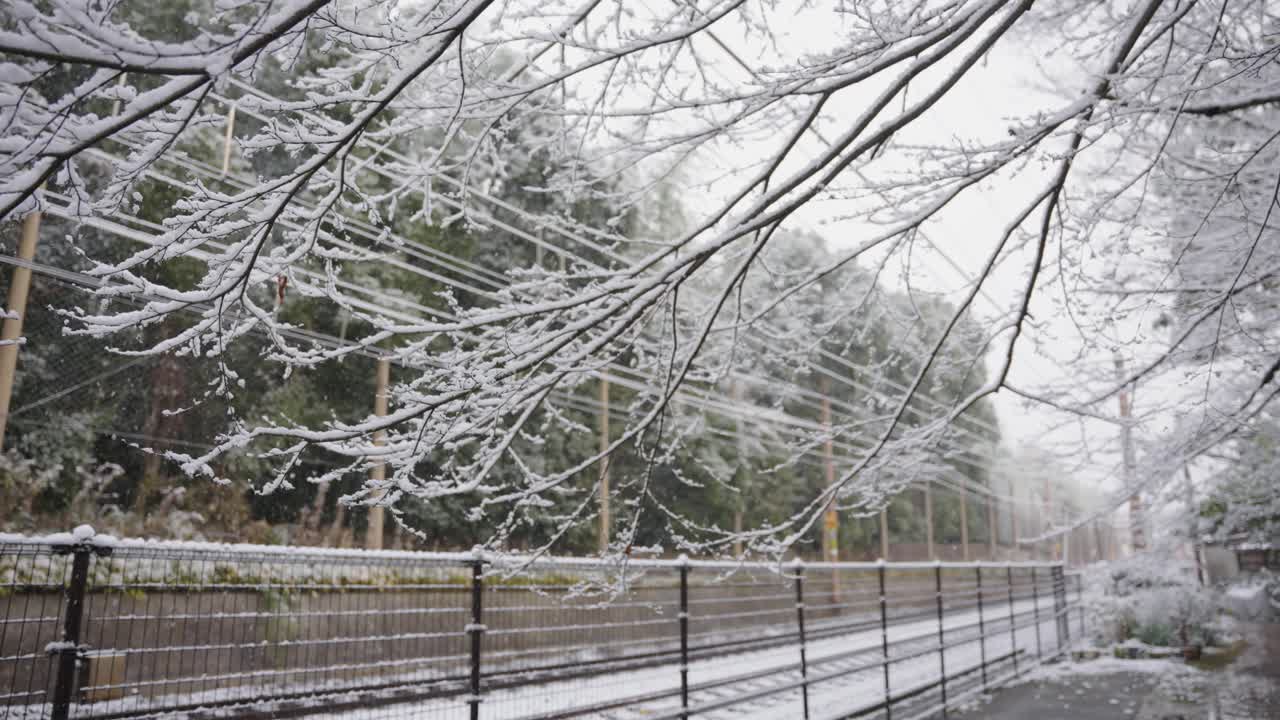 일본, 배경의 나뭇가지, 울타리, 기차 선로에 눈이 내린다