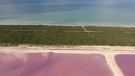 Grassy-isthmus-dividing-Caribbean-sea-and-pink-salt-ponds-in-Yucatan