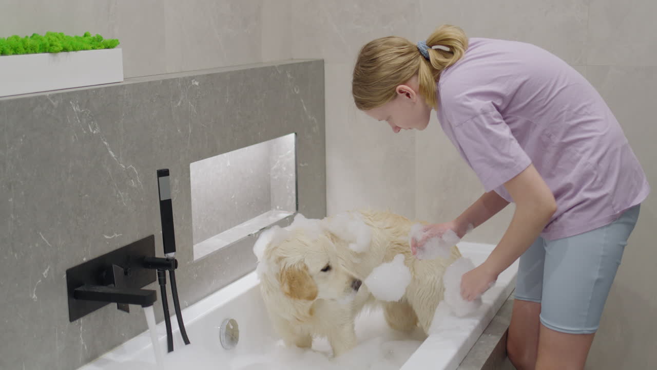 niña bañando a su golden retriever en un baño moderno