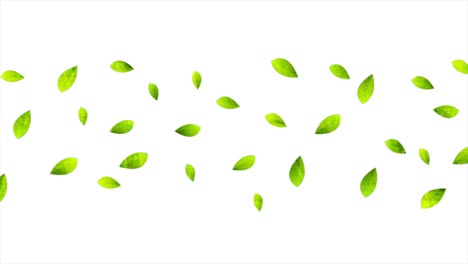 grunge verano eco video animación con hojas verdes