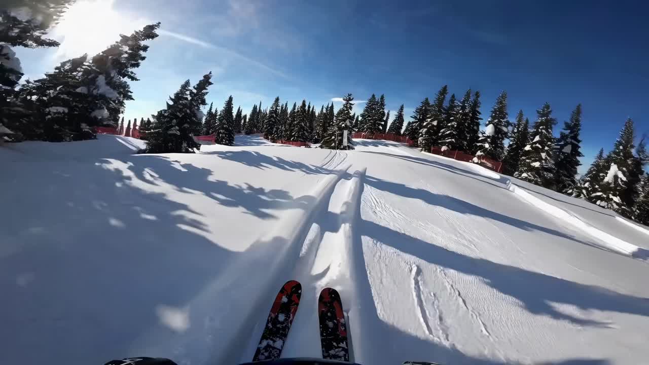 POV video of skiing down a snowy slope, capturing vibrant blue skies and snow-laden trees