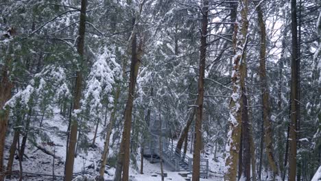 steep metal staircase leading through a snow-covered forest with tall evergreen trees along a hiking trail