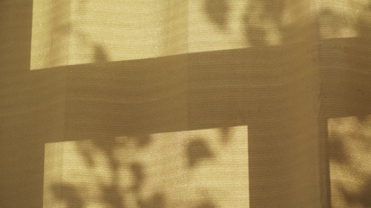 Soft plant and window frame shadows move across a beige curtain in warm golden sunlight