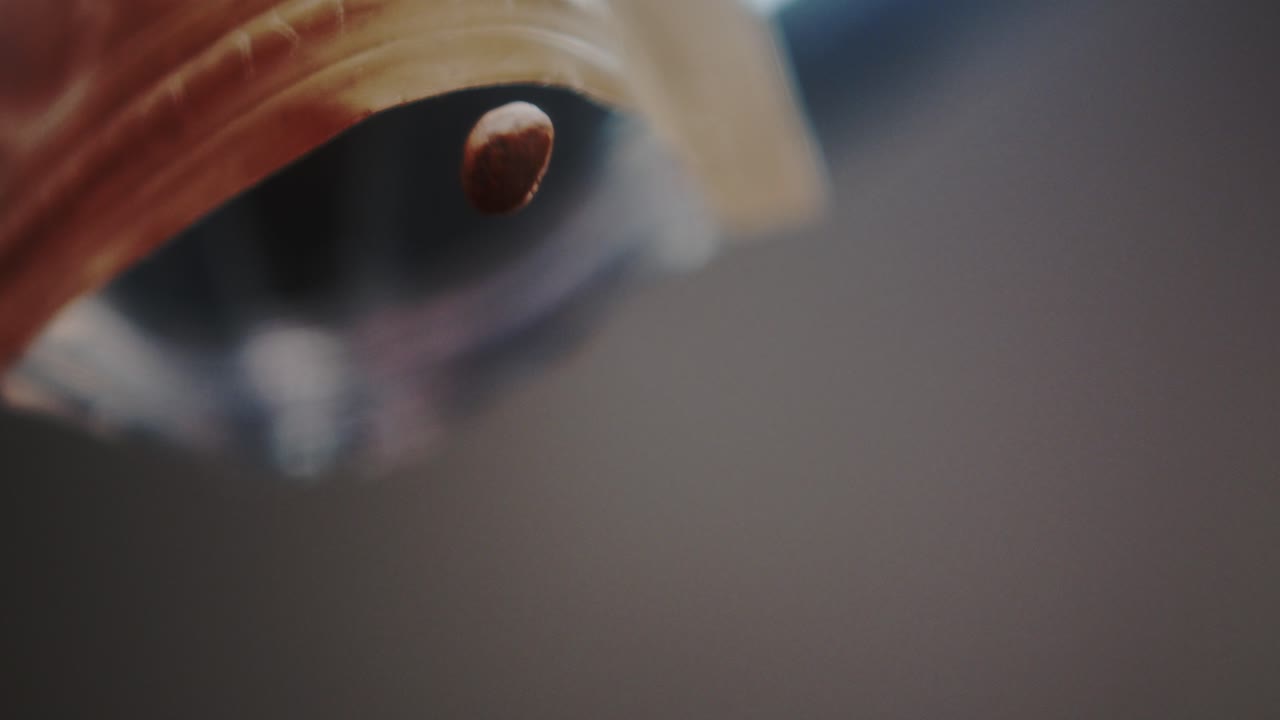 Macro slow motion of pouring fresh coffee beans out of coffee bag.Blurred footage.